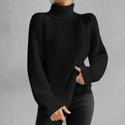 Bnwani Turtle Neck Sweater for Women Pullover Long Sleeve Top Solid Color Knit Turtleneck Black Women Sweater Size L(US:8)