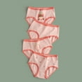 thumbnail image 1 of Bnwani Underwear for Girls Comfortable Strawberry Printed Panties 4-Pack, 1 of 3