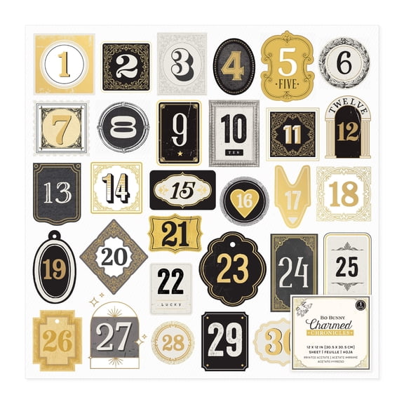 Bo Bunny Charmed Chronicles Specialty Paper 12"X12"-Printed Acetate