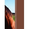 thumbnail image 1 of Bo, (Paperback), 1 of 1