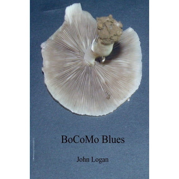 BoCoMo Blues, (Paperback)