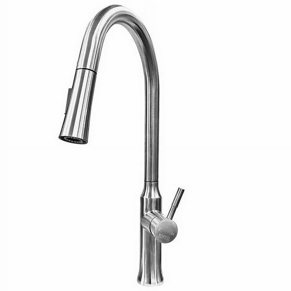 Boann Esther 304 Stainless Steel Kitchen Sink Faucet