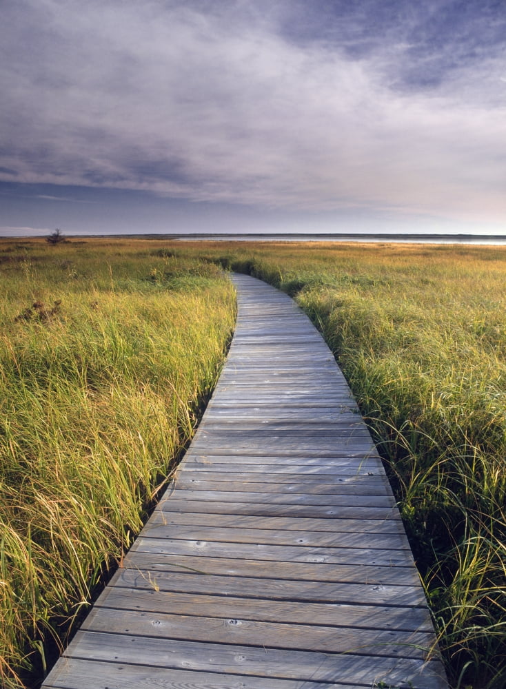 Boardwalk Along The Salt Marsh Kouchibouguac National Park New Brunswick Canada Canvas Art - Darwin Wiggett Design Pics (11 x 16)