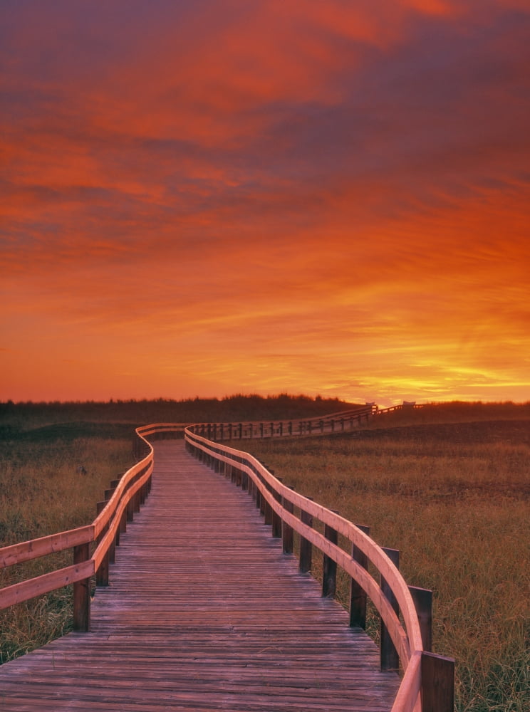 Boardwalk Along The Salt Marsh Kouchibouguac National Park New Brunswick Canada Canvas Art - Darwin Wiggett Design Pics (12 x 16)