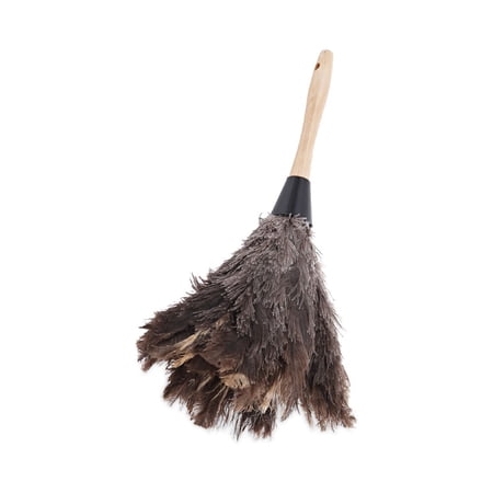 Boardwalk BWK14FD Professional Ostrich Feather Duster, Gray, 14", Wood Handle