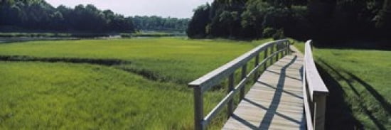 Boardwalk in a field Nauset Marsh Cape Cod Massachusetts USA Canvas Art - Panoramic Images (36 x 12)