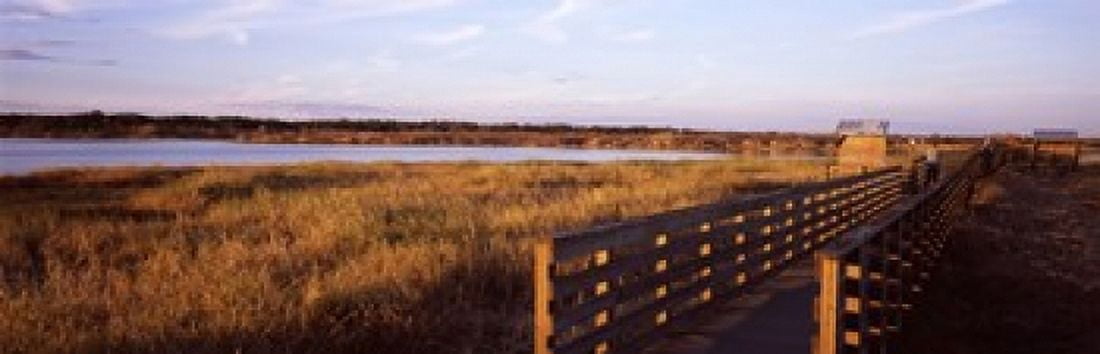 Boardwalk in a state park Myakka River State Park Sarasota Sarasota County Florida USA Canvas Art - Panoramic Images (18 x 6)
