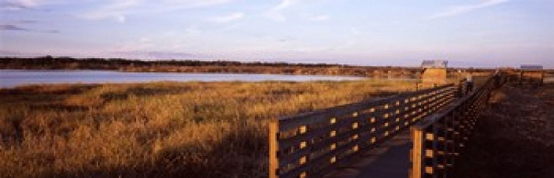 Boardwalk in a state park Myakka River State Park Sarasota Sarasota County Florida USA Canvas Art - Panoramic Images (36 x 12)