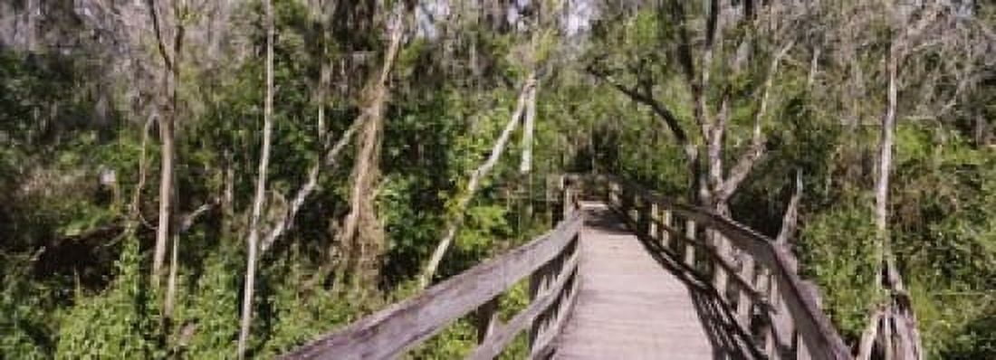 Boardwalk passing through a forest Lettuce Lake Park Tampa Hillsborough County Florida USA Canvas Art - Panoramic Images (18 x 7)