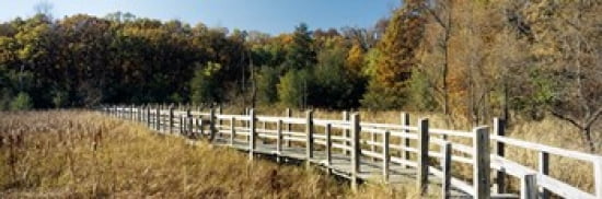 Boardwalk passing through a forest University of Wisconsin Arboretum Madison Dane County Wisconsin USA Canvas Art - Panoramic Images (36 x 12)