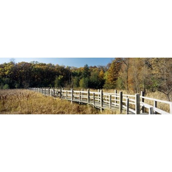 Boardwalk passing through a forest, University of Wisconsin Arboretum, Madison, Dane County, Wisconsin, USA Poster Print (18 x 6)