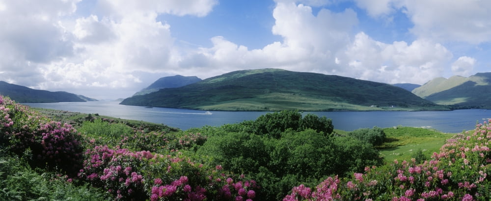 Boat In A River Killary Harbor County Galway Republic Of Ireland Canvas Art - The Irish Image Collection Design Pics (30 x 12)