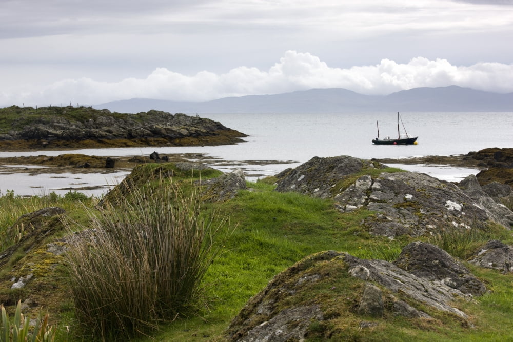 Boat Scotland Canvas Art - John Short Design Pics (38 x 24)