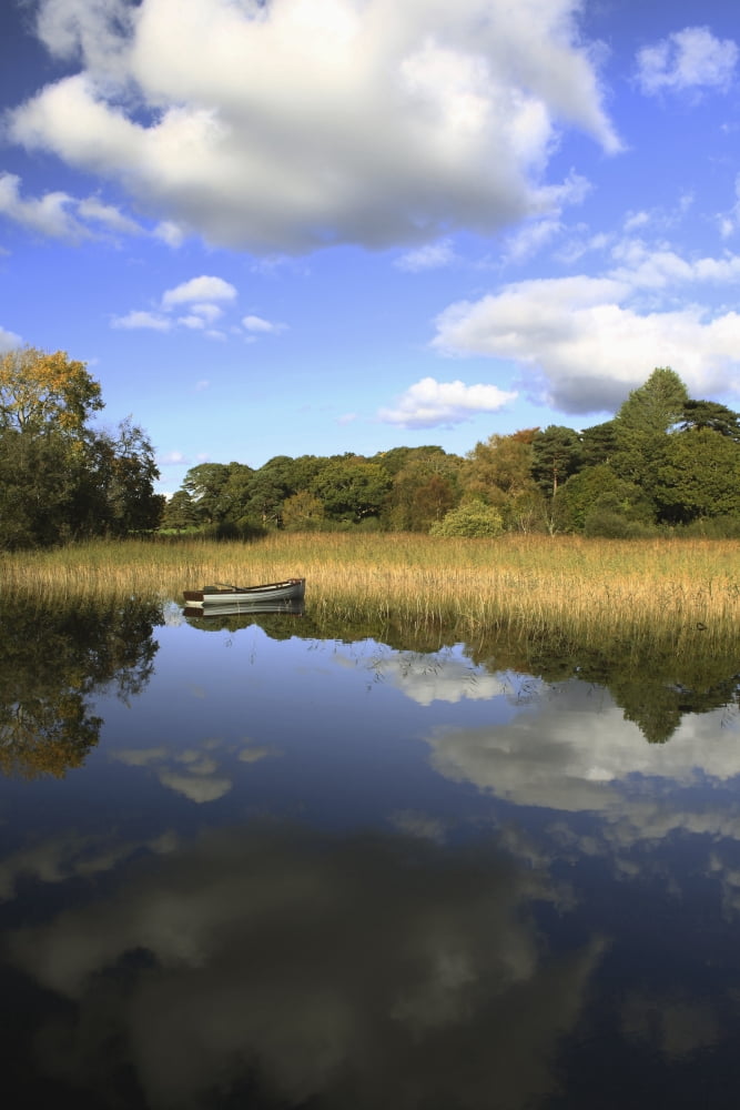 A Boat Sitting In The Water Along The Tall Grass In Killarney National Park In Munster Region County Kerry Ireland Canvas Art - Trish Punch Design Pics (24 x 38)