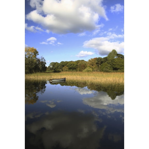 A Boat Sitting In The Water Along The Tall Grass In Killarney National Park In Munster Region County Kerry Ireland Canvas Art - Trish Punch Design Pics (24 x 38)