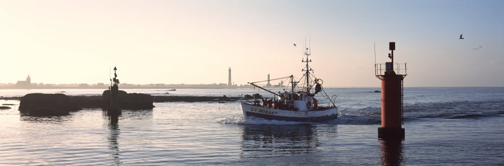Boat at a harbor Saint-Guenole Harbour Finistere Brittany France Canvas Art - Panoramic Images (36 x 12)