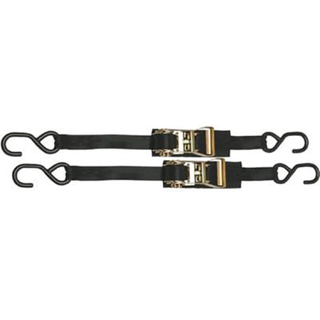 BoatBuckle 1 CamBuckle Transom/Utility Tie-Down - 1 x 3.5 - Pair