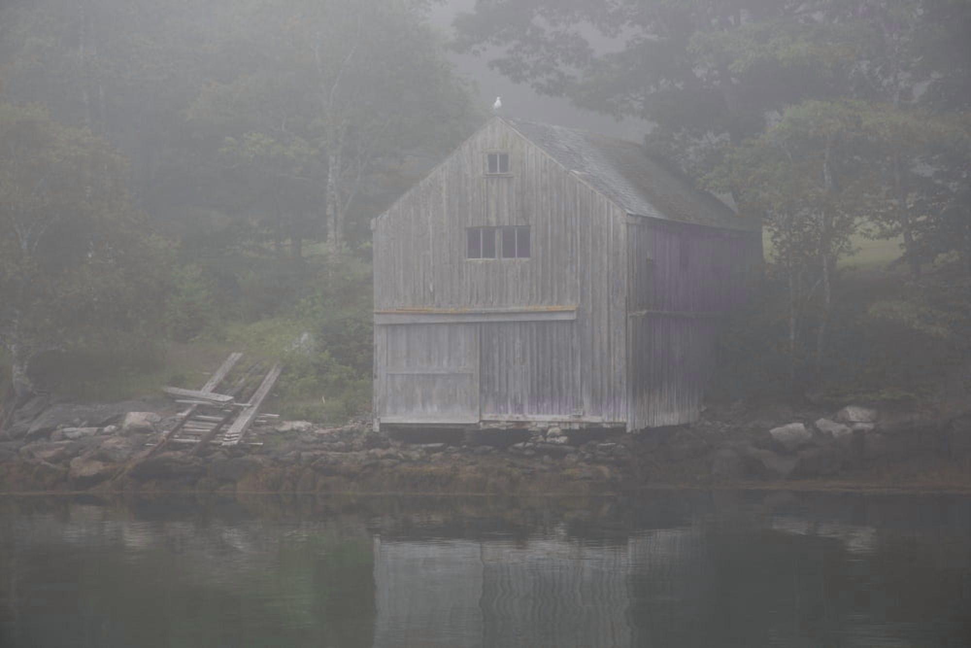 Boathouse in fog New Harbor Maine United States of America Canvas Art - Lynn Stone Design Pics (19 x 12)