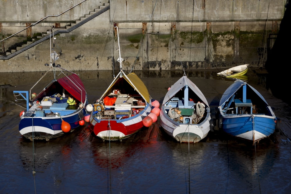 Boats Moored To Dock Amble Northumberland England Canvas Art - John Short Design Pics (34 x 22)