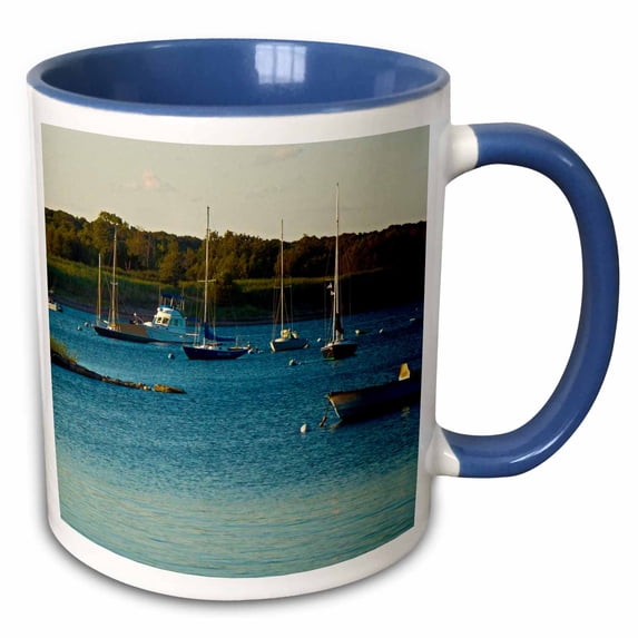 Boats Sitting In The Bay 15oz Two-Tone Blue Mug mug-202469-11