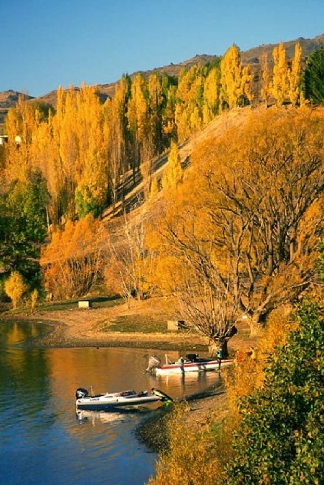 Boats and Autumn Colours Lake Dunstan Central Otago New Zealand Canvas Art - David Wall DanitaDelimont (24 x 36)