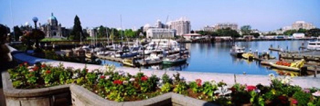 Boats at Inner Harbor with Parliament Building in the background Victoria British Columbia Canada Canvas Art - Panoramic Images (36 x 12)