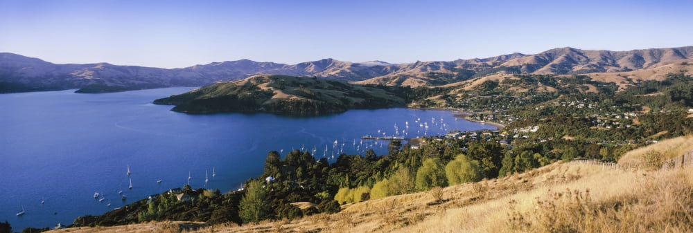 Boats at a harbor Akaroa Harbour Banks Peninsula South Island New Zealand Canvas Art - Panoramic Images (36 x 12)