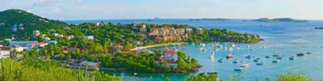 Boats at a harbor Cruz Bay St John US Virgin Islands Canvas Art - Panoramic Images (40 x 10)