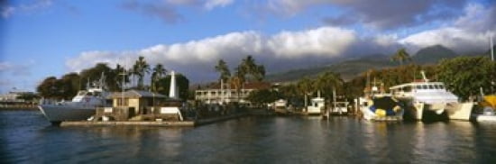 Boats at a harbor Lahaina Harbor Lahaina Maui Hawaii USA Canvas Art - Panoramic Images (36 x 12)