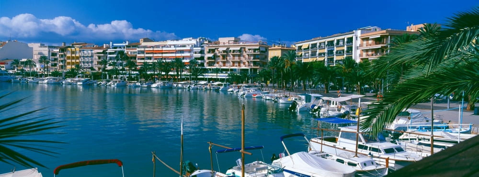 Boats at a harbor Majorca Balearic Islands Spain Canvas Art - Panoramic Images (36 x 12)