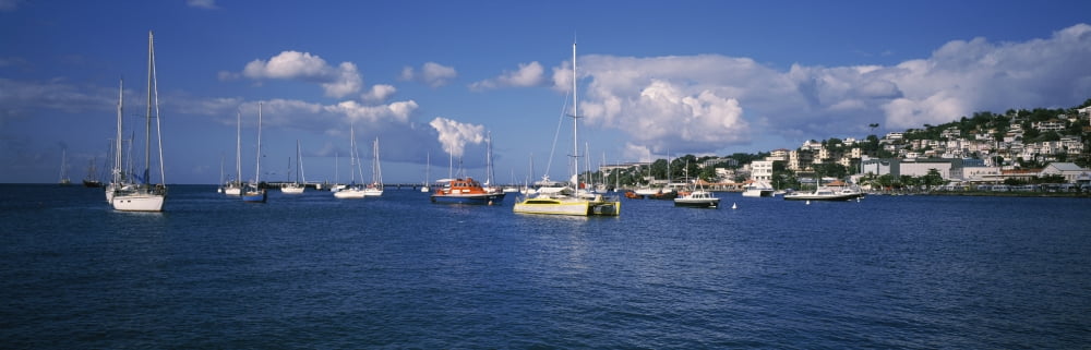 Boats at a harbor Martinique West Indies Canvas Art - Panoramic Images (12 x 36)