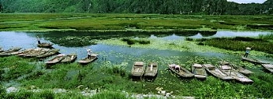 Boats in Hoang Long River Kenh Ga Ninh Binh Vietnam Canvas Art - Panoramic Images (36 x 13)