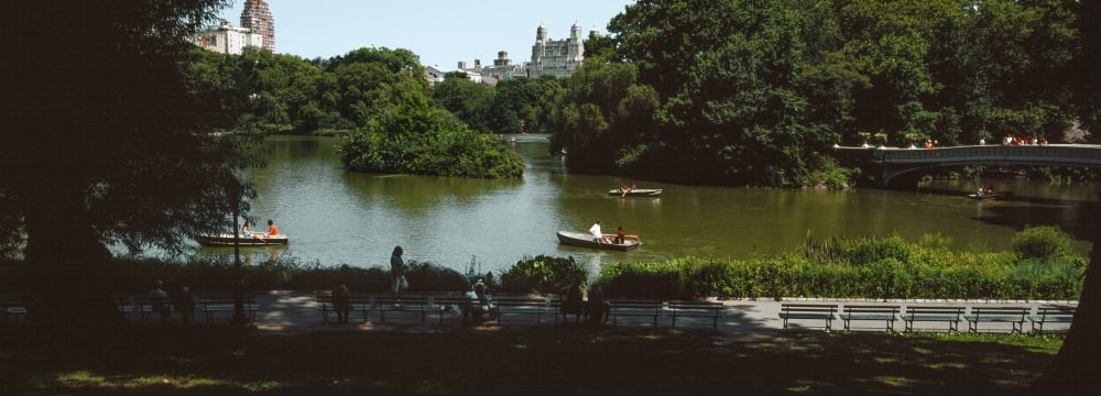 Boats in a pond Central Park Manhattan New York City New York State USA Canvas Art - Panoramic Images (36 x 12)