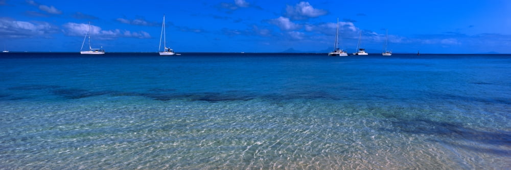 Boats in the Pacific ocean Tahiti French Polynesia Canvas Art - Panoramic Images (36 x 12)