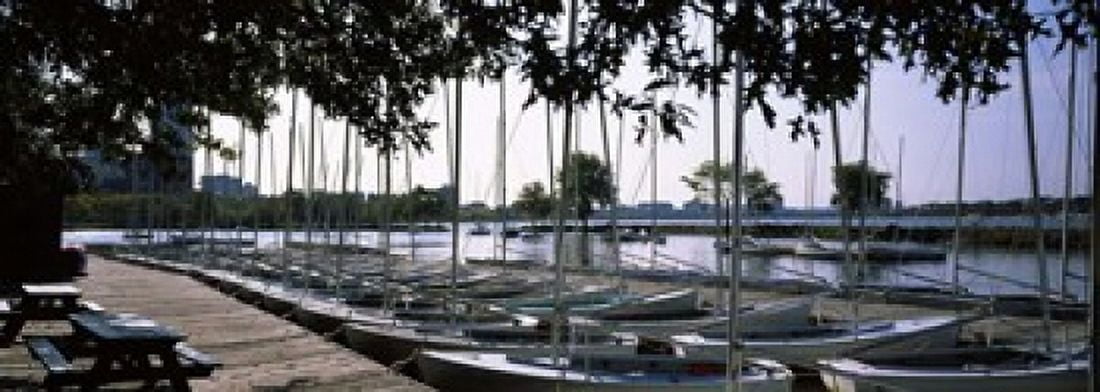 Boats moored at a dock Charles River Boston Suffolk County Massachusetts USA Canvas Art - Panoramic Images (18 x 7)