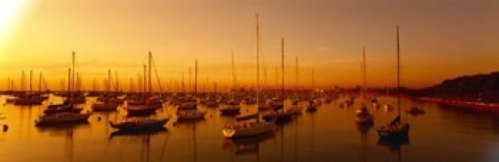 Boats moored at a harbor at dusk Chicago River Chicago Cook County Illinois USA Canvas Art - Panoramic Images (36 x 12)