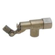 Bob Float Valve,1 In,SS w/PTFE Seal R1371-1