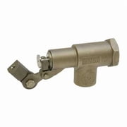 Bob Float Valve,3/4 In,SS w/PTFE Seal R1351-3/4