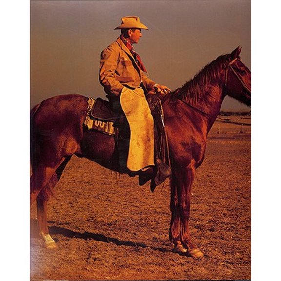 Pre-Owned Bob & Helen Kleberg of King Ranch (Hardcover) 1931721386 9781931721387