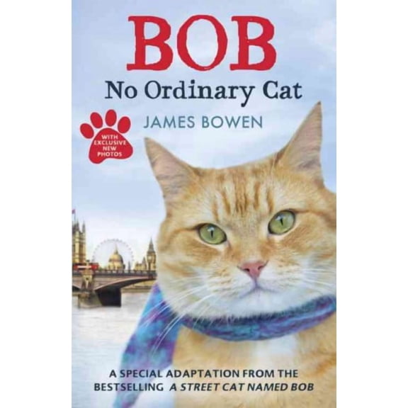 Bob : No Ordinary Cat