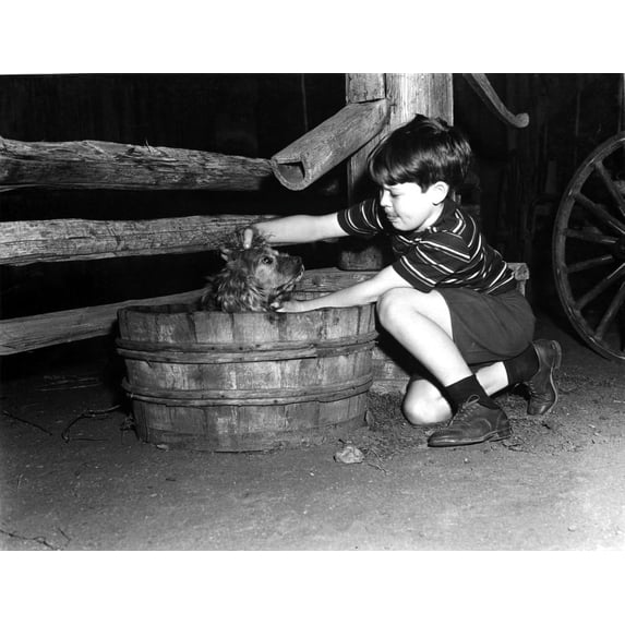 Bob Watson washing a dog in a barrel Photo Print (8 x 10)