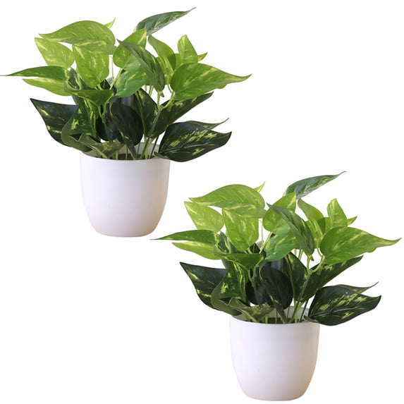 Bobasndm 2Pcs Artificial Potted Indoor Plants - Turtle Leaf and Monstera Fake Plant with Pots for Office Home Shelf Decor Indoor Outdoor