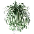 thumbnail image 1 of Bobasndm Artificial Chlorophytum Silk Flowers, Flowers Spider Plant Fake Greenery Faux Plant Hanging Basket Ivy Green Leaves Wall Hanging Plants for Home Garden Office Wedding Decoration, 1 of 6