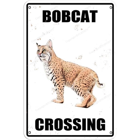 Bobcat Crossing Metal Vintage Tin Sign Wall Decoration 12x8 inches for House Room Cafe Bars Restaurants Pubs Man Cave Decorative