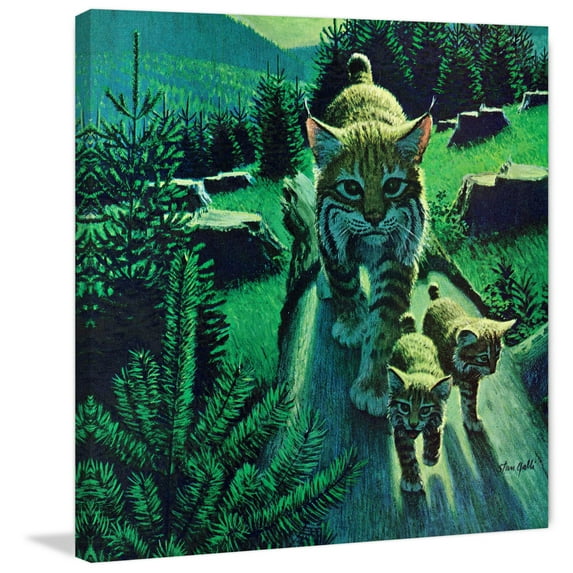 "Bobcat Family" Painting Print on Wrapped Canvas
