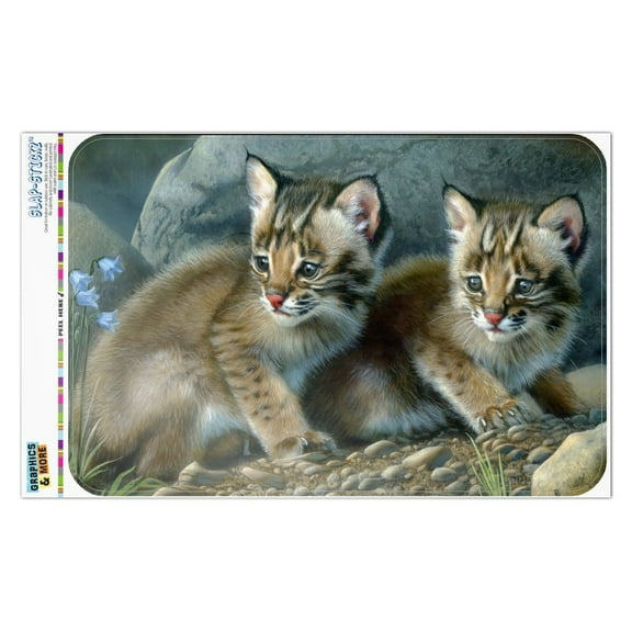Bobcat Kittens Babies Home Business Office Sign