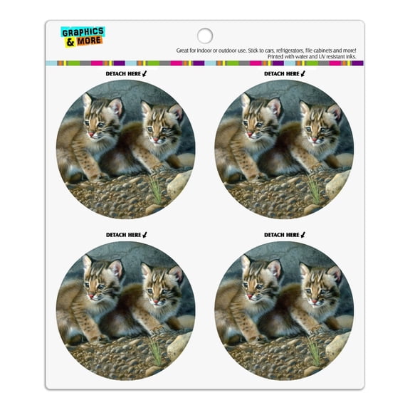 Bobcat Kittens Babies Refrigerator Fridge Locker Vinyl Circle Magnet Set