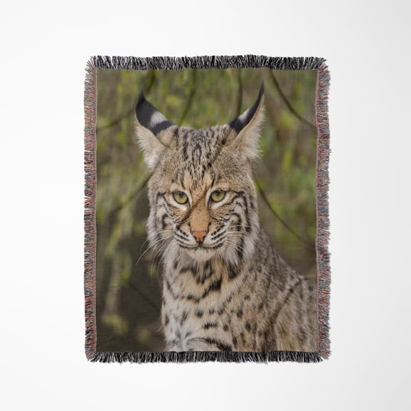 Bobcat, Lynx Rufus, Portrait., Woven Blanket