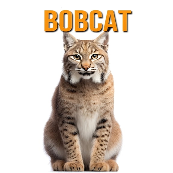 Bobcat: The Essential Guide to This Amazing Animal with Amazing Photos, (Paperback)