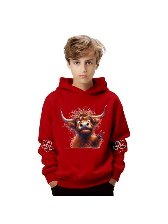 Boys Girls Christmas Hoodies Fun Highland Cow Graphic Sweatshirts Long Sleeve Fun Pullover Top